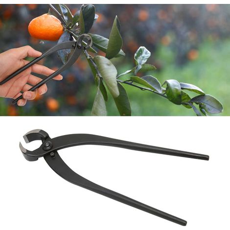Pince coupante pour racines de 210 mm, cisaille à racines, peut casser les tiges, outils spéciaux pour l'entretien et la mise en forme des bonsaïs. (1/5)