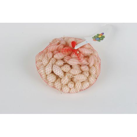 Oignon Blanc - 250 g Vilmorin (1/2)