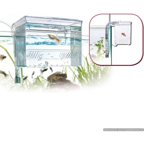 Salle de naissance extérieure avec recirculation d'eau pour aquariums