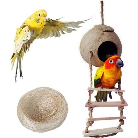 Nid d'oiseau, boîte d'élevage pour perroquets, jeu de cage pour inséparables, jouet suspendu avec échelle pour perroquets, canaris, pinsons, pigeons (1/5)