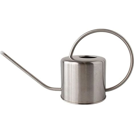 Arrosoir en acier inoxydable 1300 ml avec long bec – Petit arrosoir pour plantes d’intérieur et d’extérieur, idéal pour plantes en pot et fleurs de jardin, argenté