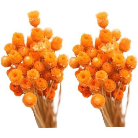 Bouquet De Fleurs Séchées - Naturelles Brésiliennes - Orange - 50 Pièces - Décoration Intérieure Bureau Mariage - 5 x 5 x 5 cm (1/4)