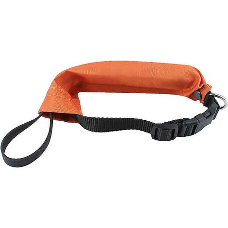 Laisse pour chats, harnais pour chiens de grande et moyenne taille, porte-localisateur pour la natation (1/5)