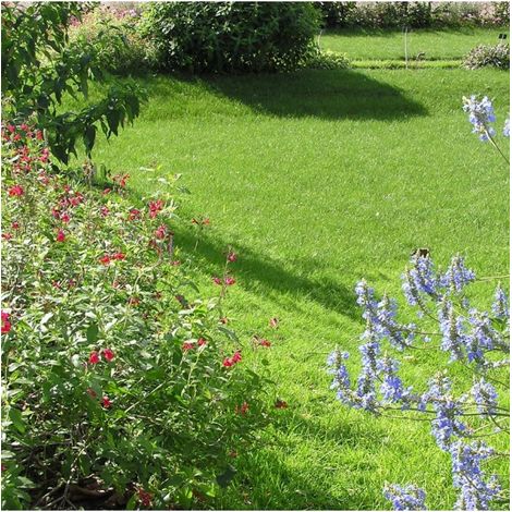 Engrais Flori Or KZ 20 kg améliore l'absorption des nutriments, pour sol scarifié - Florivert NEG01887