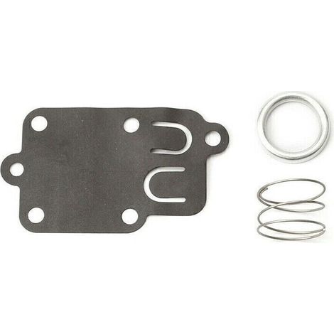 Membrane carburateur Briggs et Stratton (1/4)
