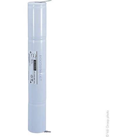 NX - Batterie eclairage secours 4xD ST4 + AMP 4.8V 4Ah (1/3)