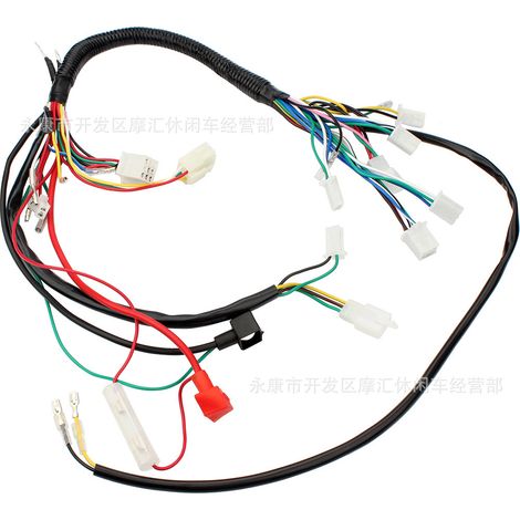 Accessoires pour buggy de plage quad à quatre roues compatibles avec faisceau de câblage de bus 50-110CC, câblage complet du véhicule Quad avec fonction antivol. (1/4)