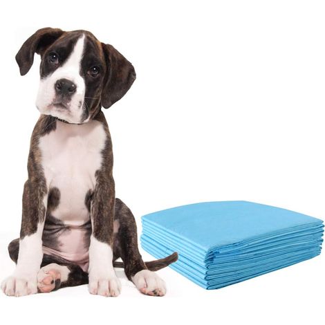 COSTWAY Almohadilla de Entrenamiento para Perros Almohadilla de Pañal Desechable Almohadilla de Higiene para Cachorros Gato (150piezas 60x90cm) (1/5)