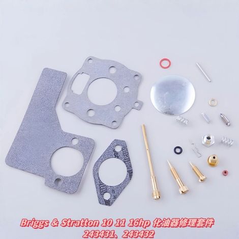 Kit de réparation pour carburateurs Briggs & Stratton 10, 11 et 16 ch, références 243431 et 243432