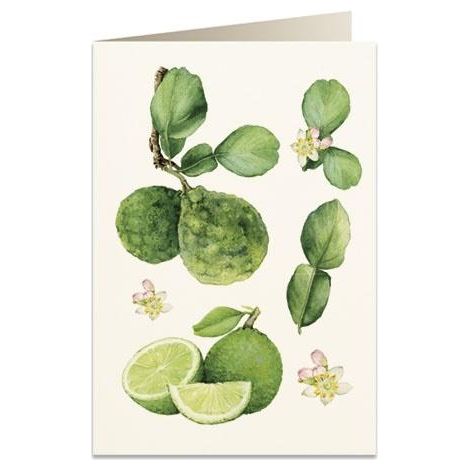 Carte B6 + enveloppe 6067 Orange bergamote