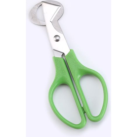 2 pièces en acier inoxydable ciseaux à oeufs de caille coupe-oeufs d'oiseau coupe-oeufs coupe-oeufs de caille ciseaux de cuisine 147cm vert