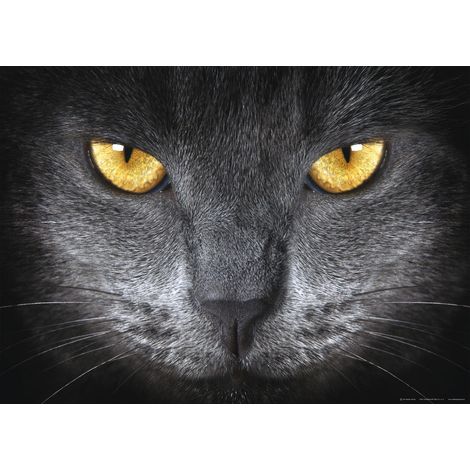 Cat's Eyes, photo murale intissée, 155x110 cm, 1 part (1/3)