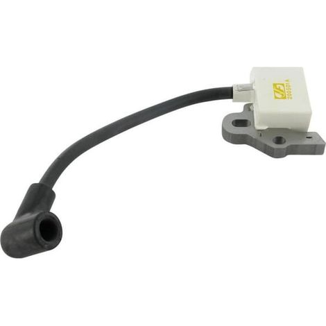 Bobina di accensione ALPINA 6980621 - GGP - 6980621