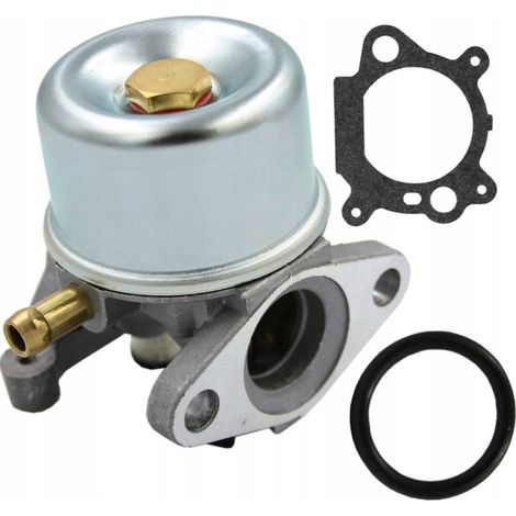 Carburatore Briggs & Stratton Quantum 625 650 675 799866 799868 790845 799871 (1/5)