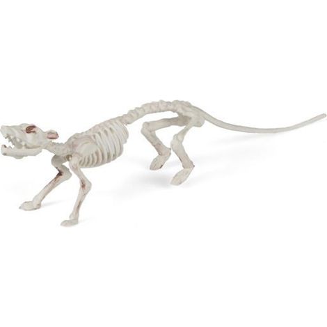 Squelette - WIDMANN - 35 cm - Blanc - Enfant - Mixte (1/5)