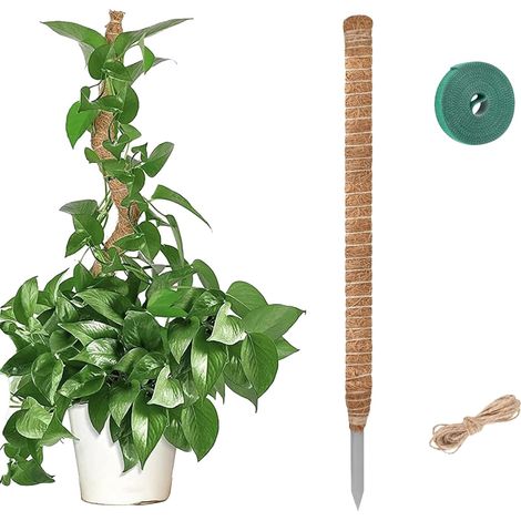 Tuteur Plante Monstera, Support Plante Grimpante avec Mousse Naturelle, Poteau Totémique Rallongeable pour Plantes D'Intérieur, Inclut Liens, Attaches Zip Et Ficelle De Jute (120) (1/5)