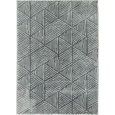Tapis de salon moderne en machine tufté, lavable, 170 x 120 cm gris foncé (1/5)