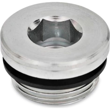 Ganter Norm elementi GN 749 di M8 x 1 di a – Chiusura viti, 10 pezzi, argento, argento, GN 749-M16X1,5-A (1/2)