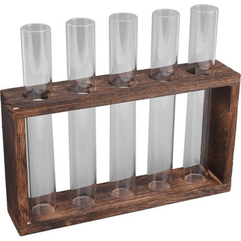 Terrarium transparent en forme de tube à essai pour observer la croissance des plantes aquatiques, support en bois pour herbes aromatiques, couleur anthracite. (1/5)