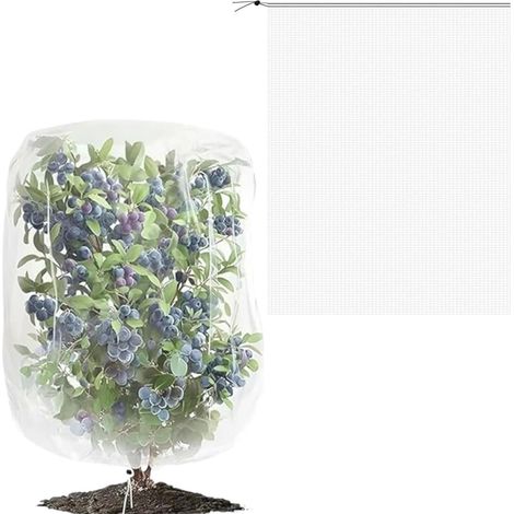 Filet de Protection Plantes 1.8 x 1.8 m Filet Anti Insectes Jardin Filet Protection Légumes Maille Fine pour Potager Arbres Fruitiers et Plantes de Jardin (1/5)