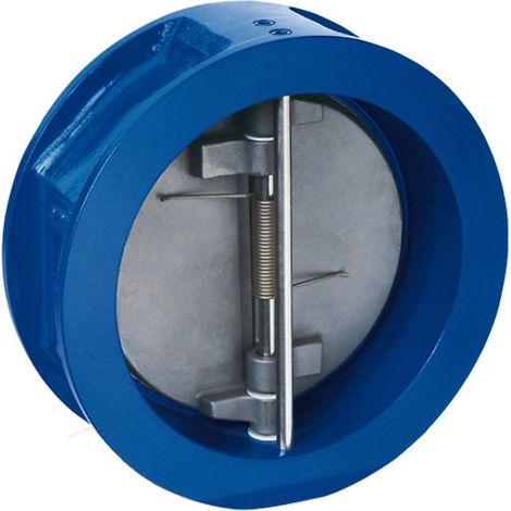 Rückschlagklappe WS-CV-DN100 - 760712 von Weishaupt