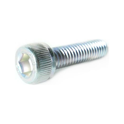 Vis fixation barre de coupe taille-haies Efco (1/2)
