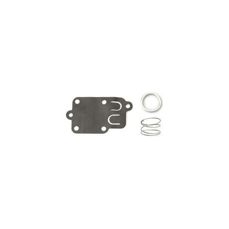 Membrane carburateur Briggs et Stratton (1/4)