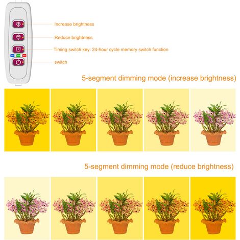 Lampe LED pour Plantes 5 Modes Dimmables avec Minuterie USB pour Succulentes et Plantes en Pot
