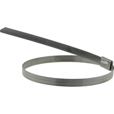 Collier en inox 4,6 x 520 mm, diamètre maxi 152 mm (LS-4.6-520-A) (1/3)