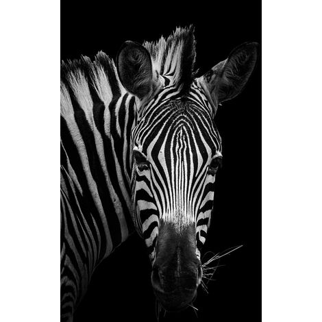 Tableau Zèbre en noir et blanc - 50x80cm - made in France (1/5)
