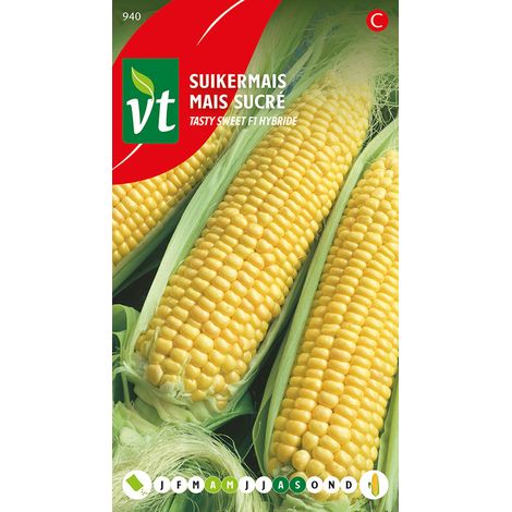 Mais Sucre Golden Bantam - Ca. 10 gr (Livraison Gratuite) (1/2)