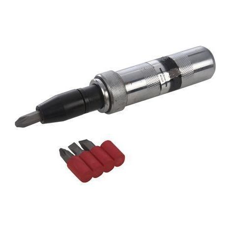 Coffret tournevis à frapper + embouts (1/2)