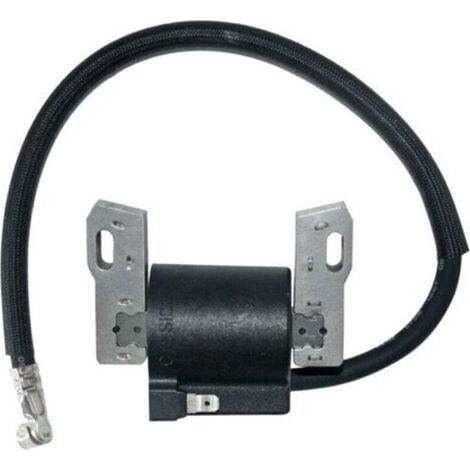 Bobine d'allumage pour Briggs Stratton 591420 398593 496914 793281 792395 -. (1/4)