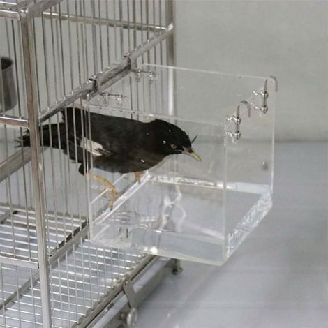 Bain d'oiseaux acrylique transparent avec crochets - 13x11x13 cm pour perruches et petits oiseaux (1/5)