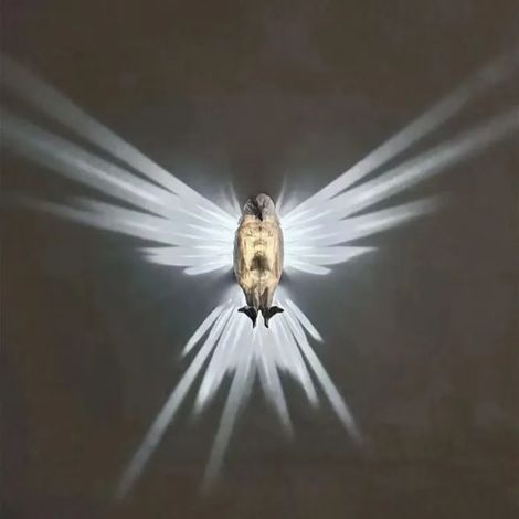 Wall lamp, PGX, 8 W