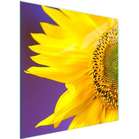 Protezione in vetro per piano cottura 50x52 cm con motivo floreale (1/5)