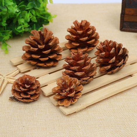 Pommes de pin Pommes de pin 50+ pcs Perfect pour les pièces d'automne et les décorations de Noël de 4 à 6 cm de haut (1/2)