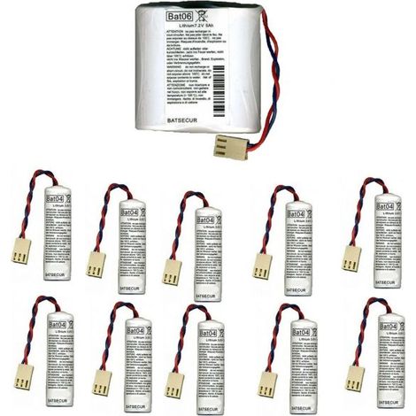 Batsecur kit batterie litio Logisty 7,2V 5Ah 1 pz. BAT06 + 10 pz. BAT04