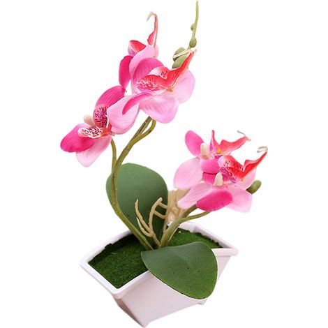 Plante Artificielle - Phalaenopsis Double Branches - Pot Plastique - Décoration Intérieure Maison Bureau Café - 1 Pièce (1/5)