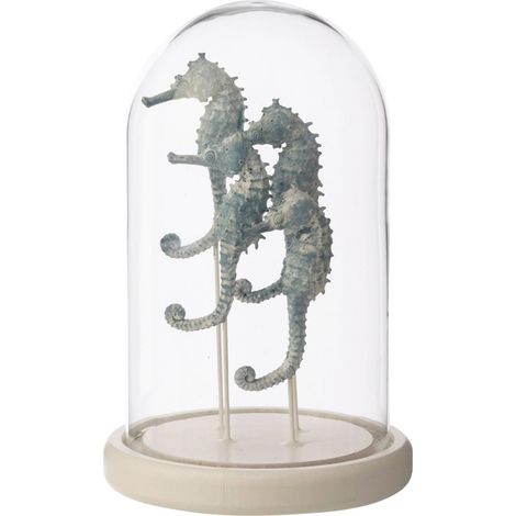 Cloche Déco en Verre "Hippocampe" 22cm Bleu (1/2)