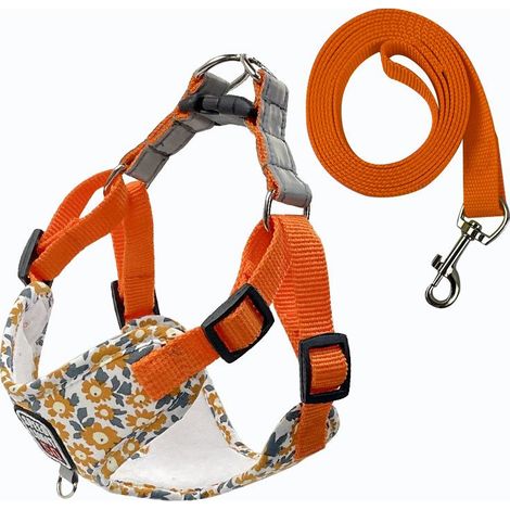 Fournitures pour animaux de compagnie Laisse respirante pour chien Laisse imprimée pour chien de promenade pour chien de petite et moyenne taille Nouveau harnais pour animaux de compagnie en gros (1/3)