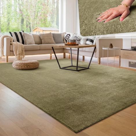 Tapis Salon Moelleux Ultra Doux à Poils Courts - Antidérapant, Lavable, Confort Idéal pour Salon et Chambre, Dimension:160x220 cm, Couleur:Vert Clair (1/5)