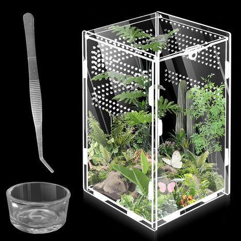 360° Acryl-Schneckenterrarium: WIYETY Mini-Transparentes Acryl-Terrarium für Reptilien, Skorpione, Käfer (20 x 12 x 12 cm)