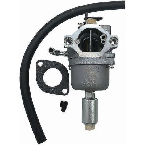 Carburateur pour moteurs Briggs & Stratton Intek (14,5 à 21 ch), référence 796109 591731 (1/5)
