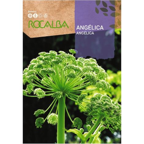 Rokalba Angelica Taschen Samen 1G