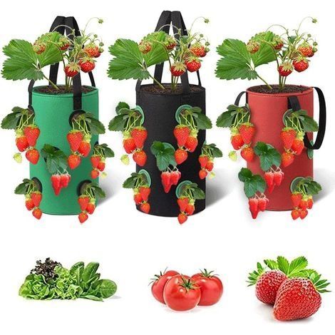 Sacs De Culture De Fraises, 3pcs Planteur De Fraises en Tissu Respirant Suspendus Sacs De Plantation De Fraises Contenant De Plantation avec Trous De Plantation pour Fraises Fleurs (20x35cm) (1/5)