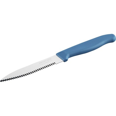 Nirosta Küchenmesser Elemental 21,5 cm blau/silber