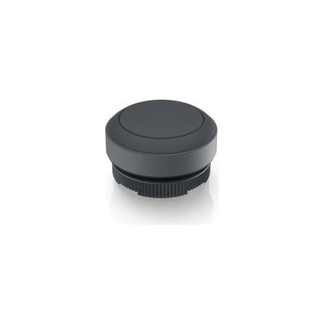 RAFI 1.30.270.001/0101 RAFIX 22 FS Bouton-poussoir à rappel (L x l x H) 29.8 x 29.8 x 18.5 mm 1 pc(s