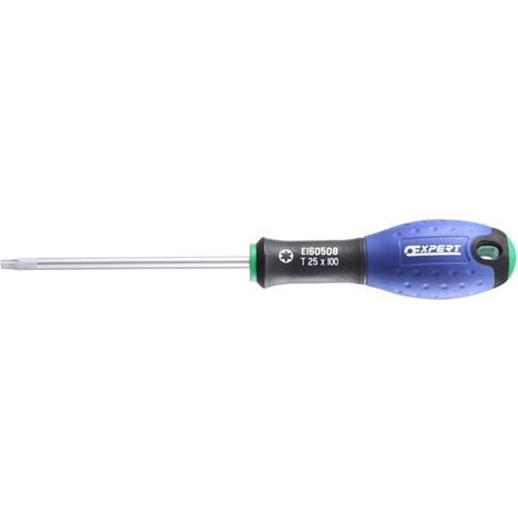 Tournevis Torx T6 X 50 - Expert (1/3)