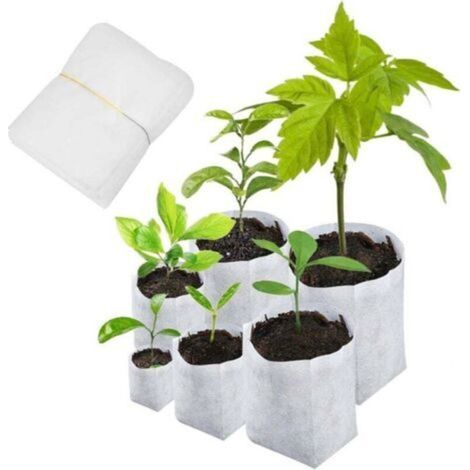 4 Pcs Equerre Etagere Murale, Supports Angulaires Droits de 90 Degrés en Acier, Support D'étagère Murale 250 x 160mm, avec 20 pcs Vis et 8 pcs Ancres pour Salon Chambre Bibliothèque (Noir) (1/4)